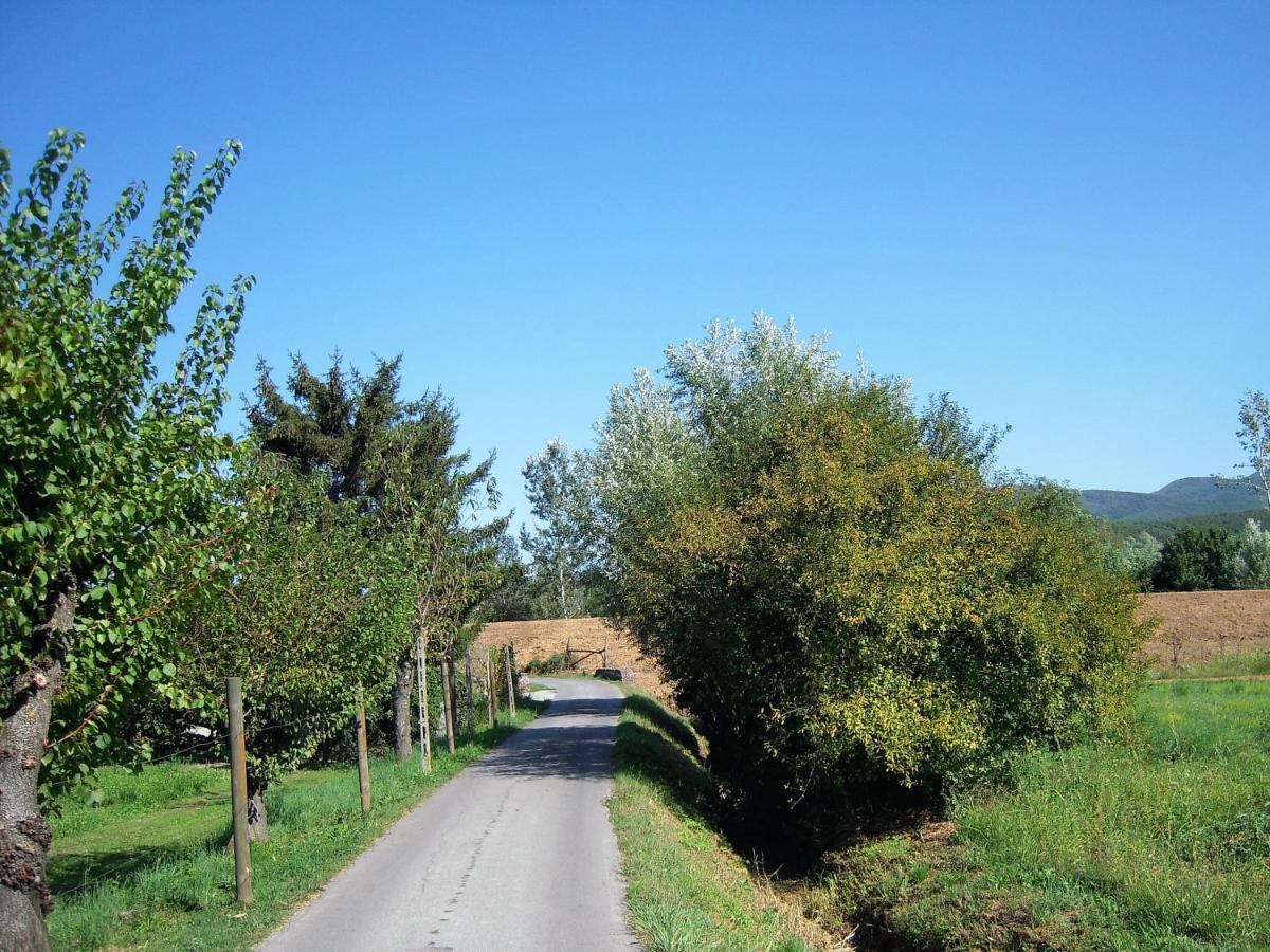 Vila Al Cascinale Lucca Exteriér fotografie