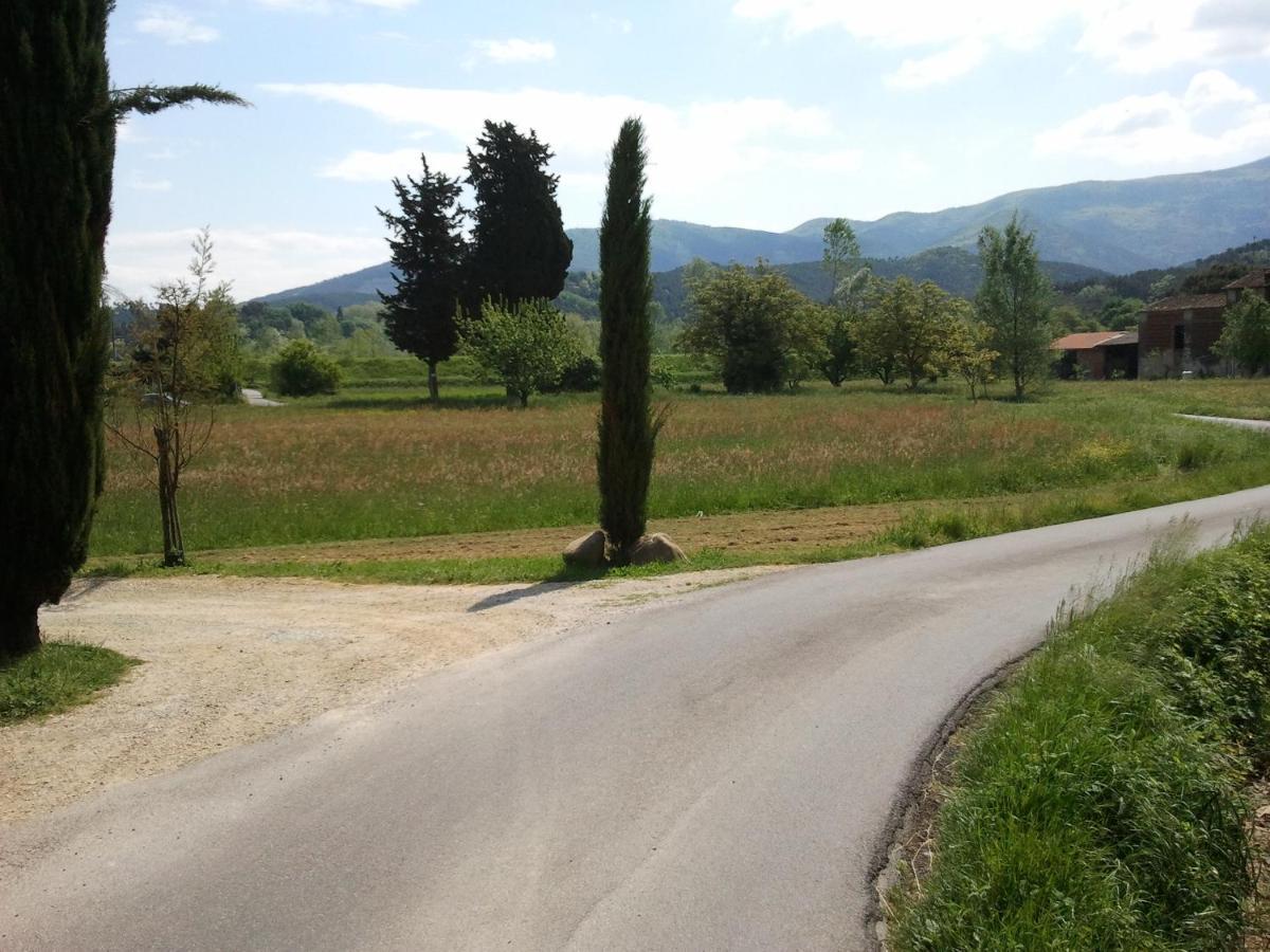 Vila Al Cascinale Lucca Exteriér fotografie